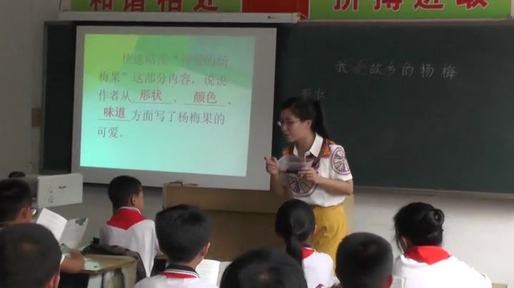 1.人教版语文三下《2　我爱故乡的杨梅》国家级优质课
