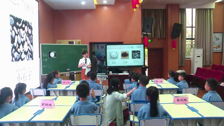 5.教科版科学一下《6.它们去哪里了》湖南省一等奖