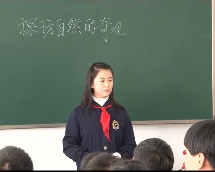 2.人美2011版美术六下《2.探访自然的奇观》辽宁省县一等奖