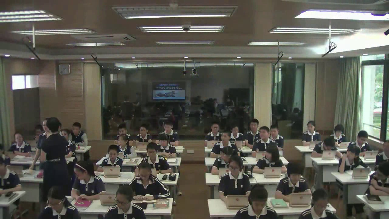 3.人教版语文（部编）七下《骆驼祥子》国家级优质课