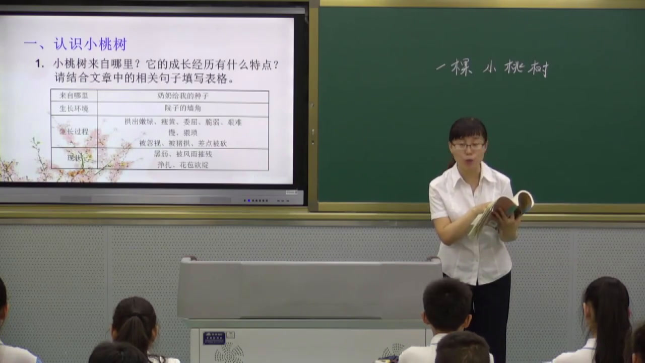 2.人教版语文（部编）七下《18一棵小桃树》陕西省省级优课