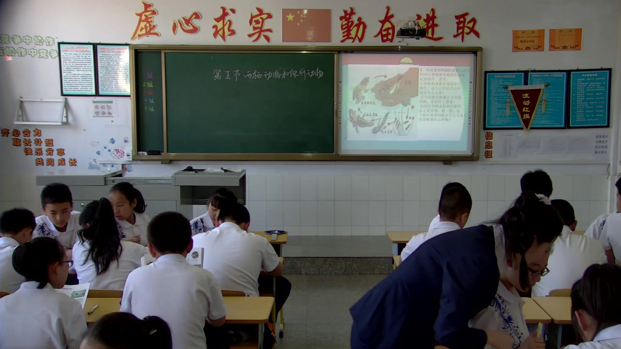 2.初中生物人教2011版八上《第五节　两栖动物…》全国一等奖