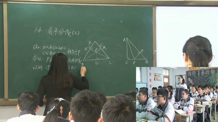 1.初中数学北师大2011版八下《角平分线》山东省省一等奖