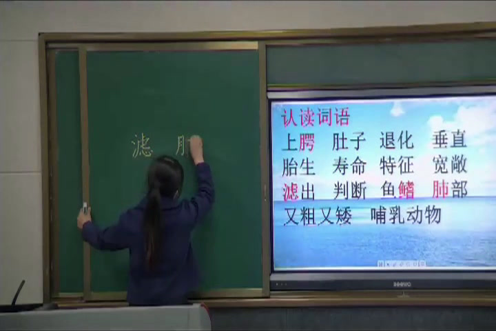 人教版语文五上《9　鲸》陕西贺老师-省一等奖