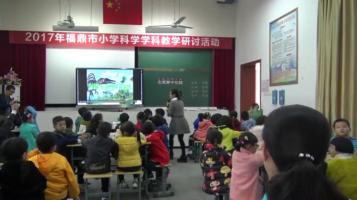 教科版科学一上《1.在观察中比较》福建吴老师-全国一等奖