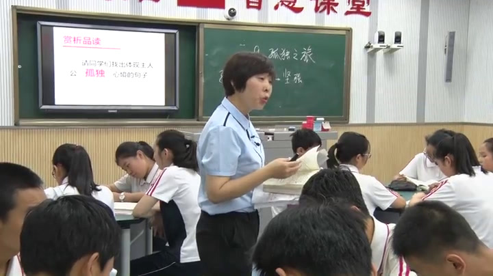 人教版初中语文九上《9孤独之旅》陕西肖老师-全国一等奖