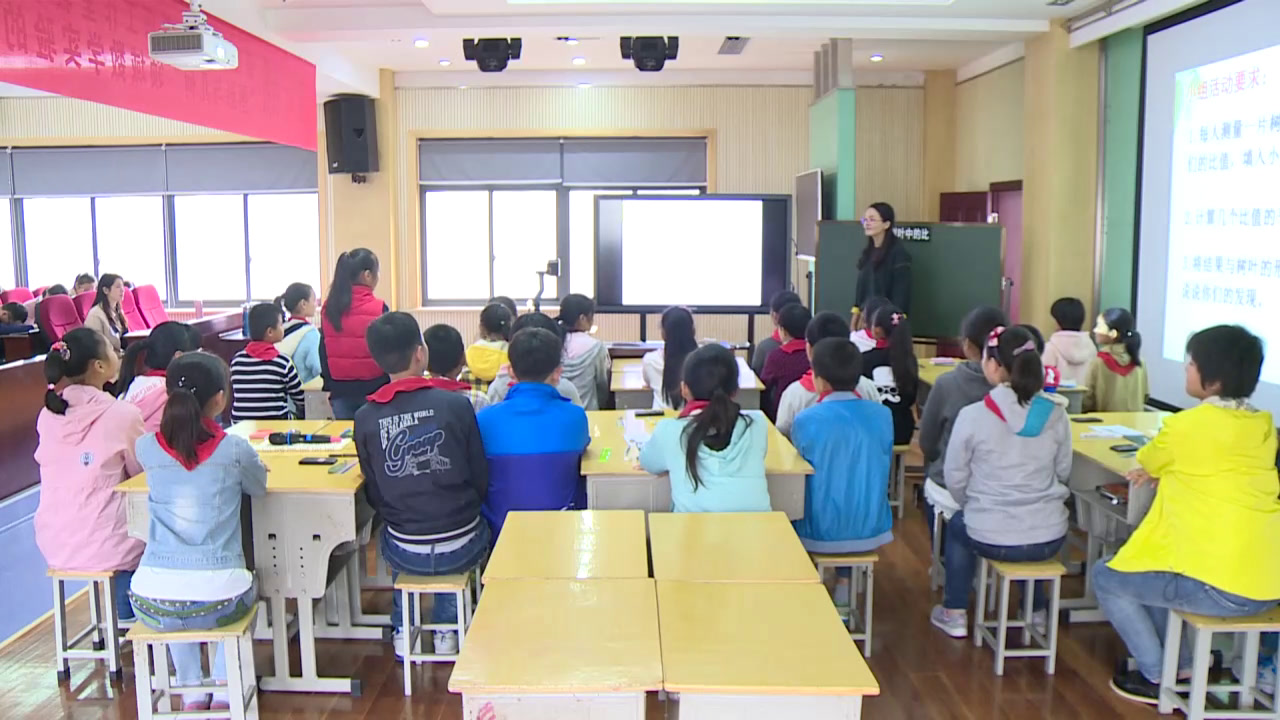苏教版数学六上《●树叶中的比》江苏蒋老师-市一等奖