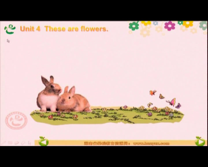 湘少版英语四上《Unit4Theseareflowers.》湖南万老师-市一等奖