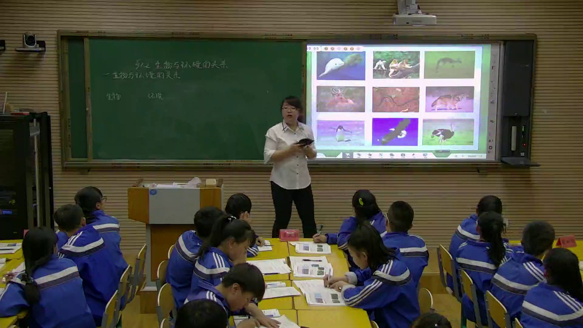 苏教版生物七上《第二节生物与环境的关系》辽宁林老师-市一等奖