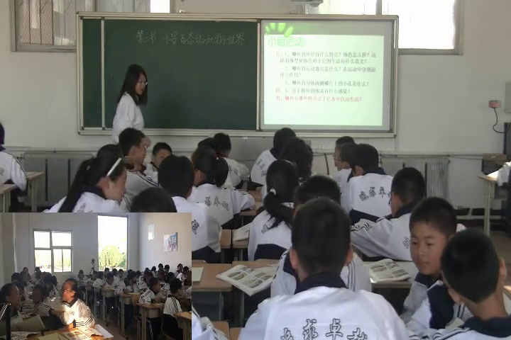 苏教版生物八上《第二节千姿百态的动物世界》辽宁胡老师-市一等奖