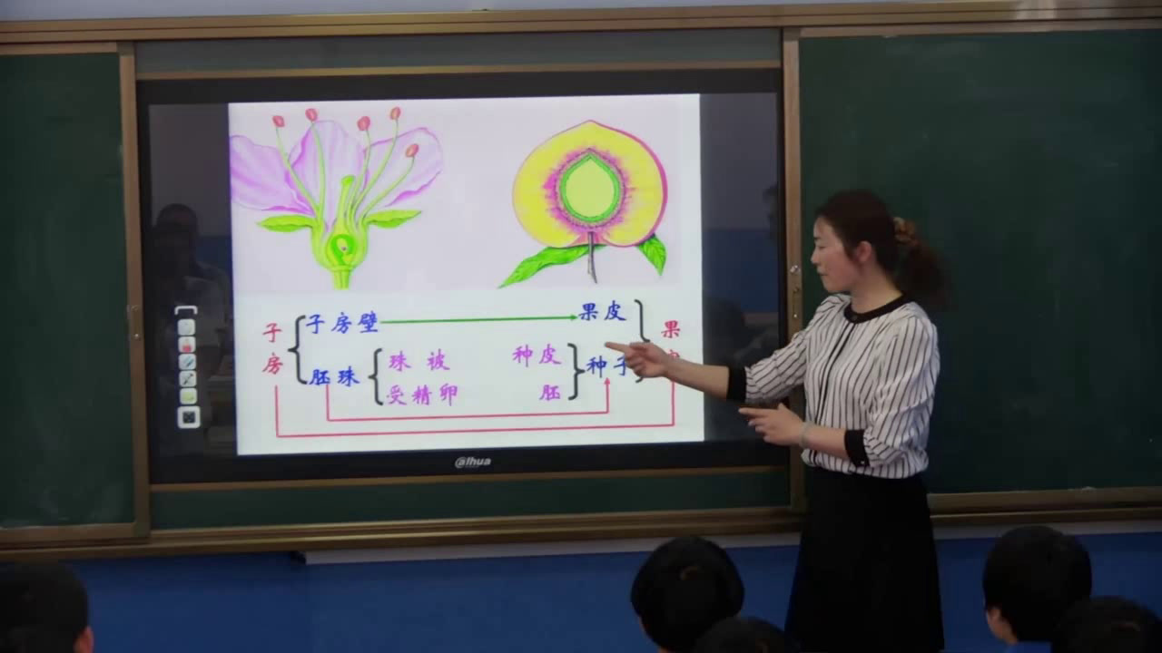 苏教版生物八下《第一节生物的无性生殖》甘肃于老师-市一等奖