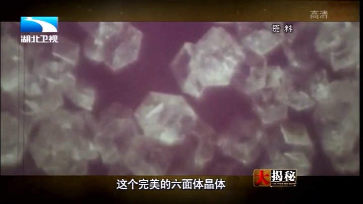 人教版生物必修1《科学家访谈　探索生物大分子的奥秘》福建纪老师-省一等奖