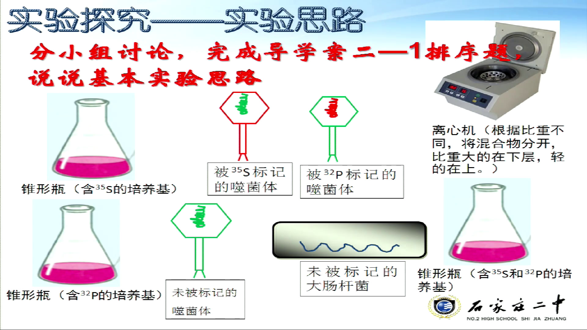 人教版生物必修2《第1节　DNA是主要的遗传物质》河北韩老师-全国一等奖