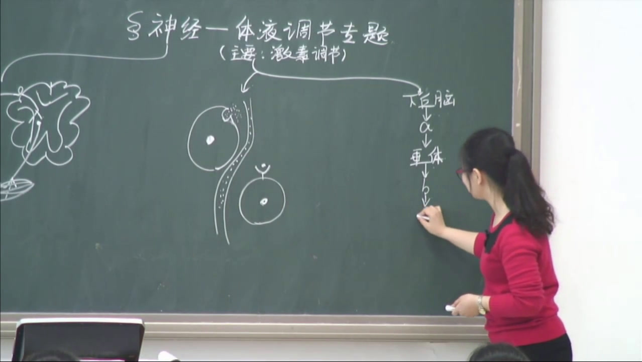 人教版生物必修3《全章复习与测试》天津姜老师-省一等奖