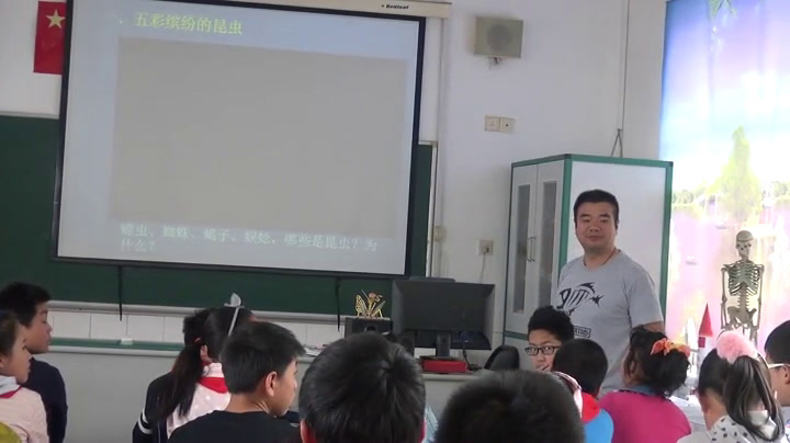 苏教2001版科学三上《3校园里的小动物》江苏张老师-市一等奖