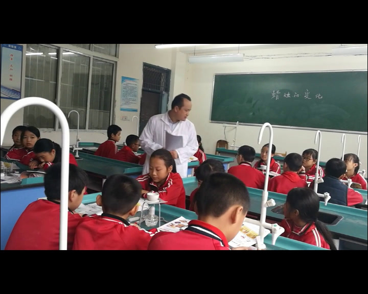 苏教2001版科学六上《1蜡烛的变化》四川周老师-省一等奖