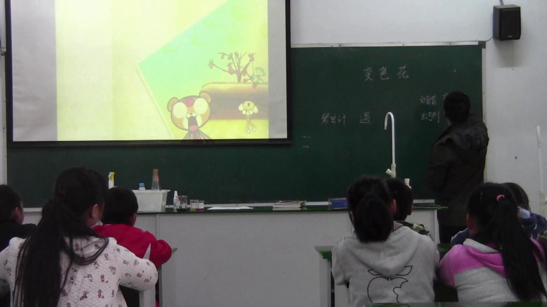 苏教2001版科学六上《3变色花》安徽丁老师-市一等奖