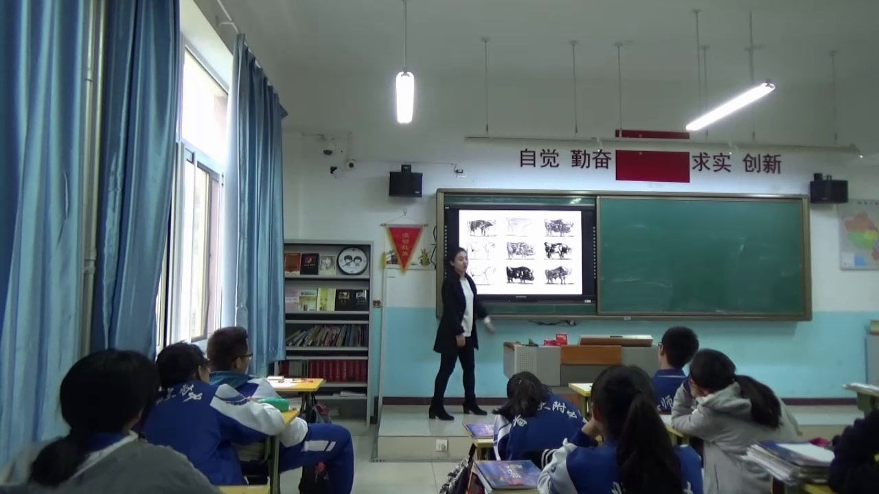 人美版美术《美术鉴赏》《第五课美术作品可以什么都不像吗--走进抽象艺术》北京高老师-省一等奖
