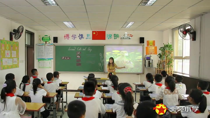 冀教版英语三下《Lesson2CatsandDogs》河北任老师-全国一等奖