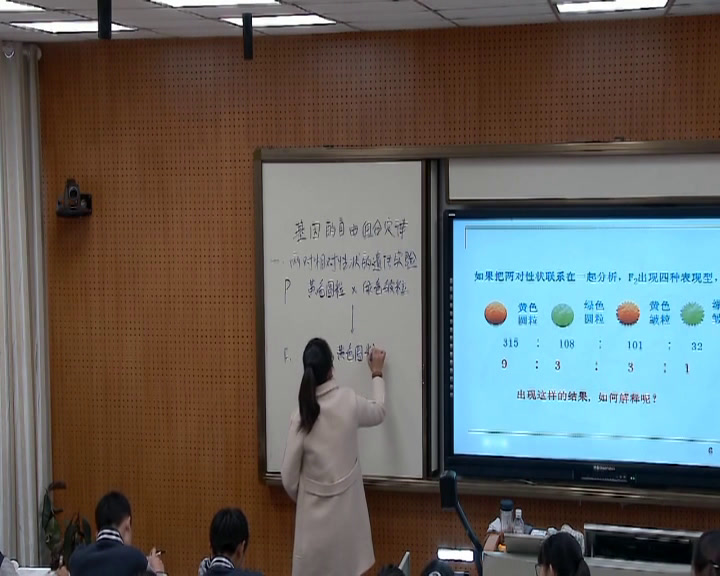 苏教版生物必修2《基因的自由组合定律》江苏潘老师-市一等奖