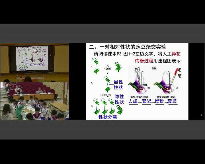 苏教版生物必修2《基因的分离定律》广东常老师-省一等奖