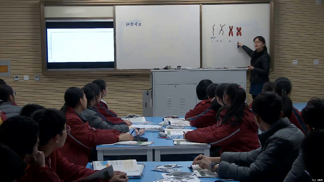 苏教版生物必修1《无丝分裂》江苏杨老师-市一等奖