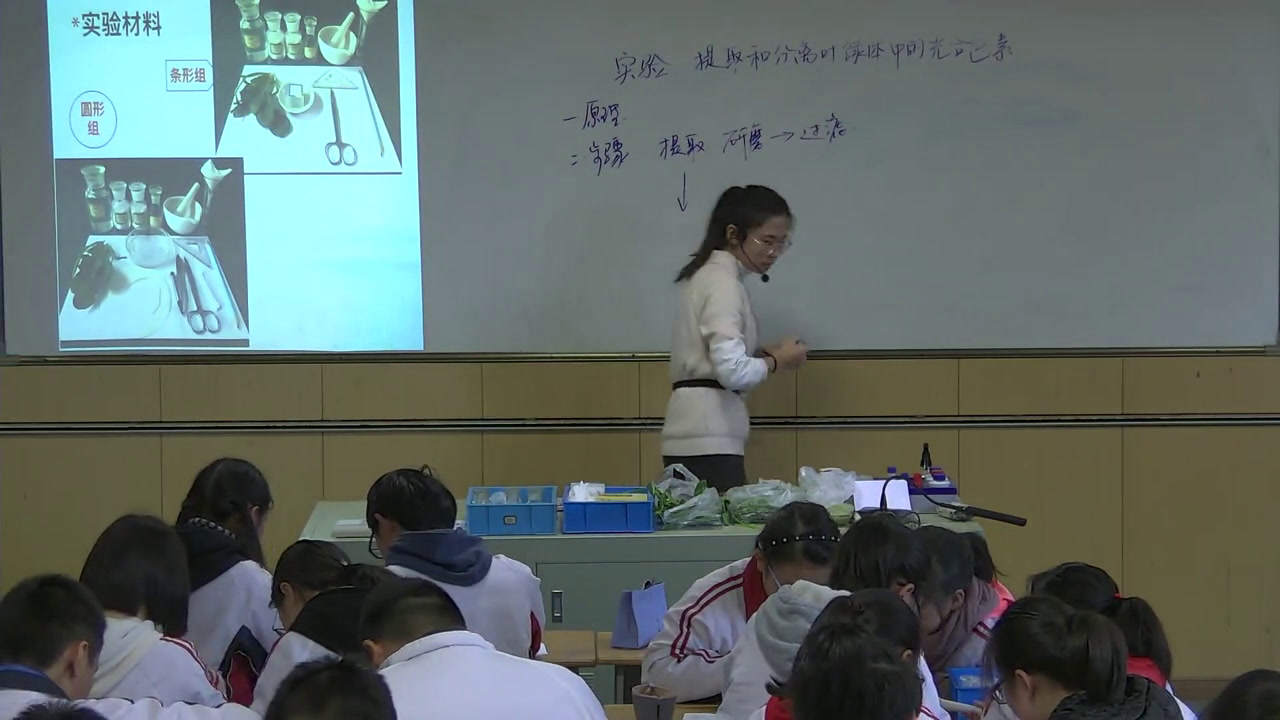 苏教版生物必修1《光合色素与光能量的捕获》江苏老师-县级优课