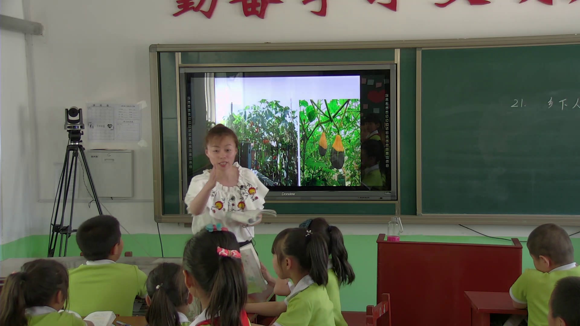 部编版语文四下《2.乡下人家》吉林李老师-省一等奖