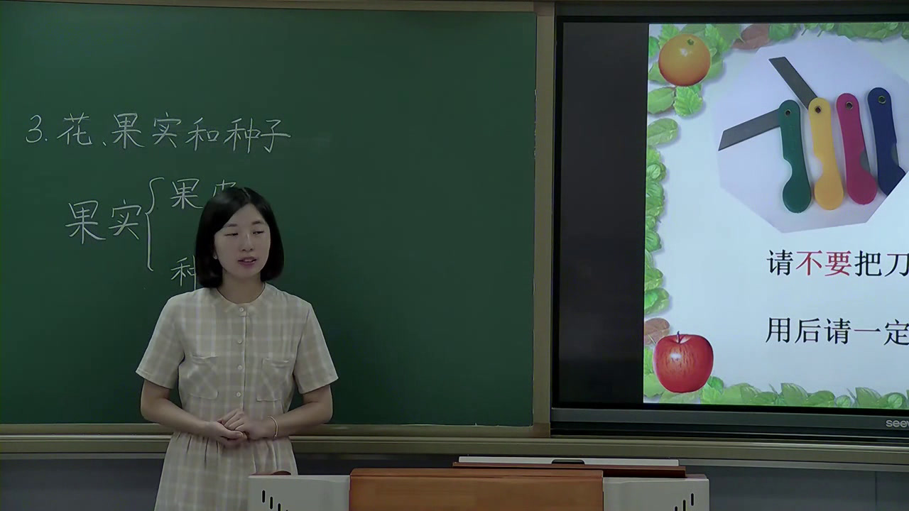 教科版科学四下《花、果实和种子》辽宁谷老师-全国一等奖