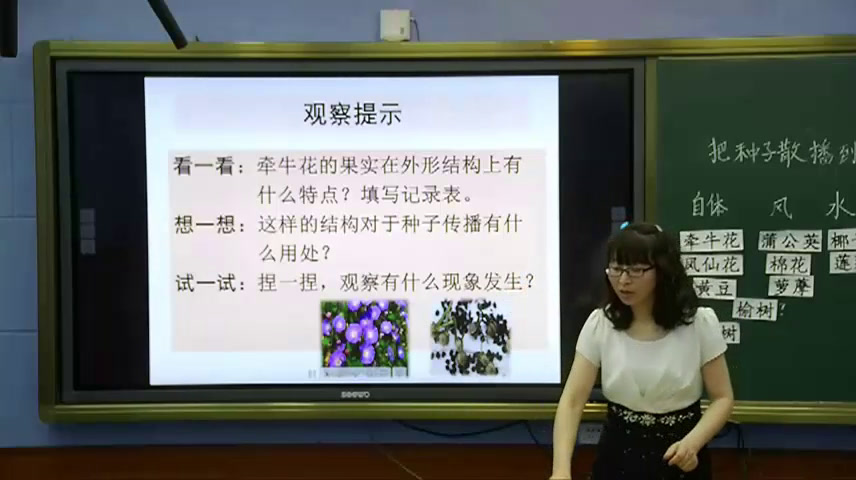 教科版科学四下《把种子散播到远处》吉林张老师-全国一等奖