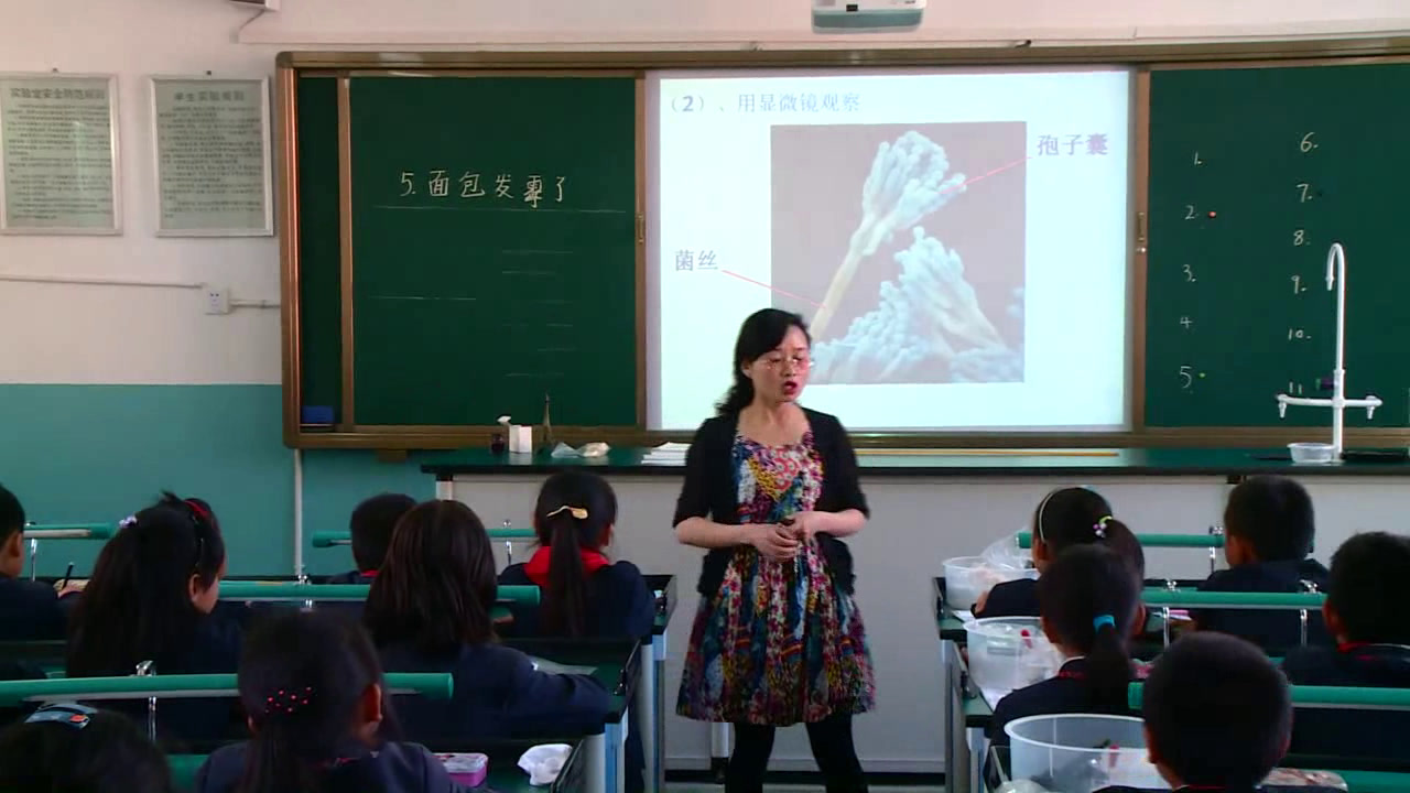 教科版科学四下《面包发霉了》云南李老师-省一等奖
