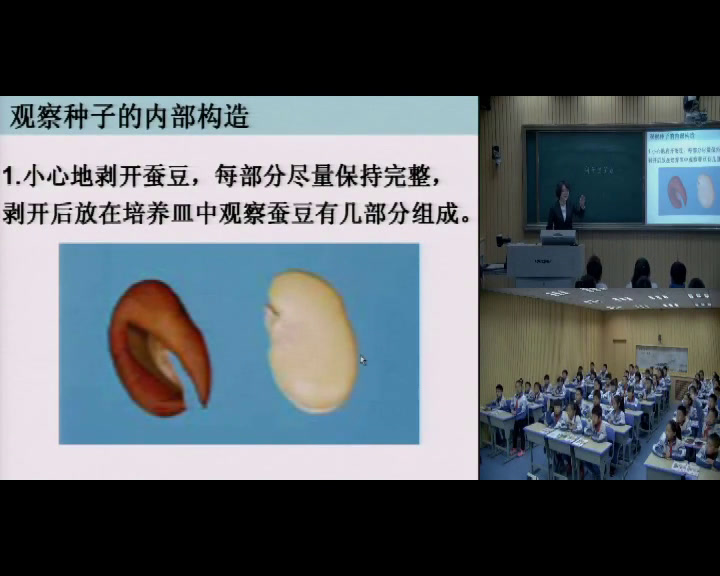 教科版科学四下《种子的萌发》吉林刘老师-全国一等奖