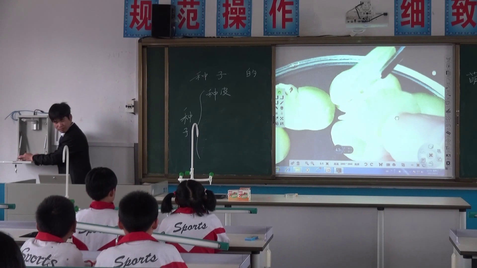 教科版科学四下《种子的萌发》江西张老师-省一等奖