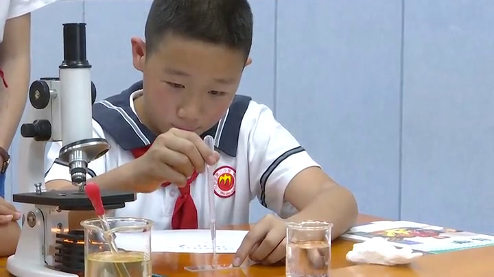 教科版科学六下《用显微镜观察身边的生命世界（三）》宁夏马老师-省一等奖