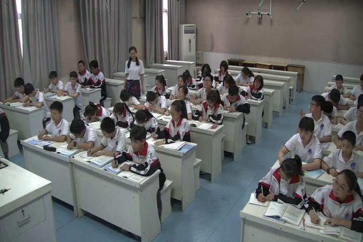 冀教版数学七下《复习题》河北老师-