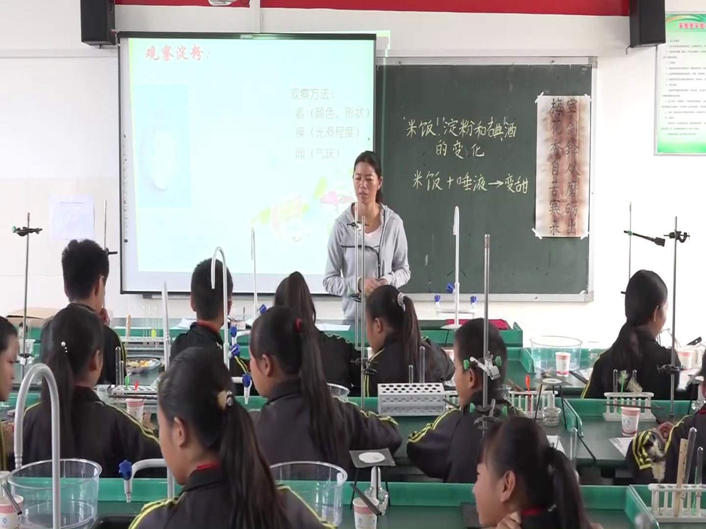 教科版科学六下《米饭、淀粉和碘酒的变化》云南熊老师-省一等奖