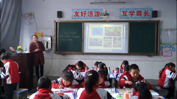 教科版科学三下《开花了，结果了》甘肃李老师-市一等奖