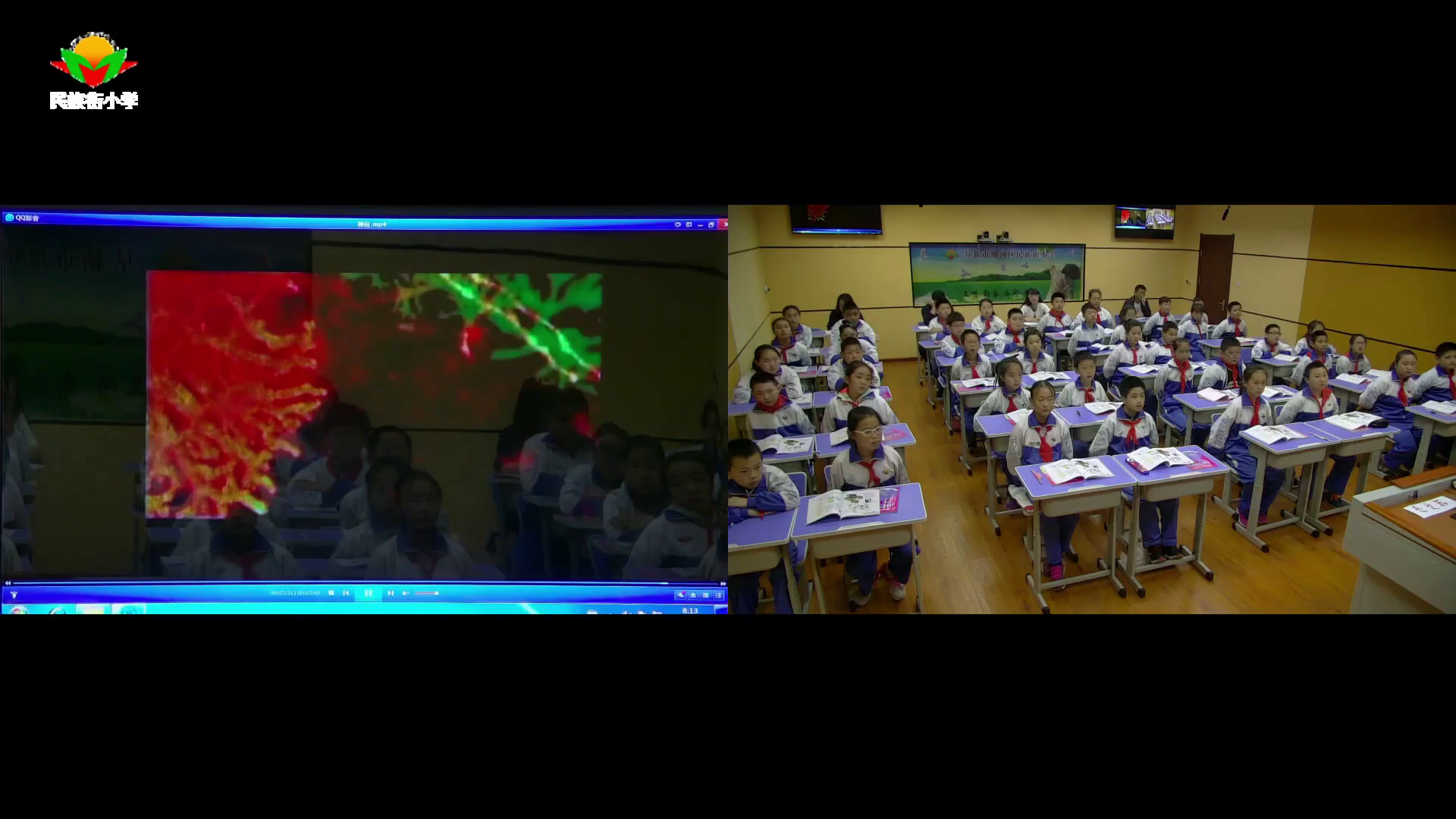苏教2001版科学五下《2神经》辽宁赵老师-市一等奖
