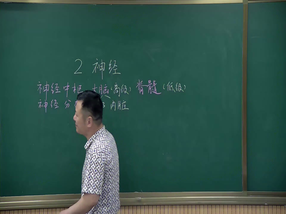 苏教2001版科学五下《2神经》安徽宫老师-市一等奖