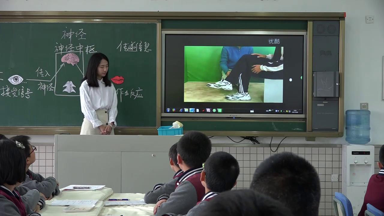 苏教2001版科学五下《2神经》辽宁钟老师-市一等奖