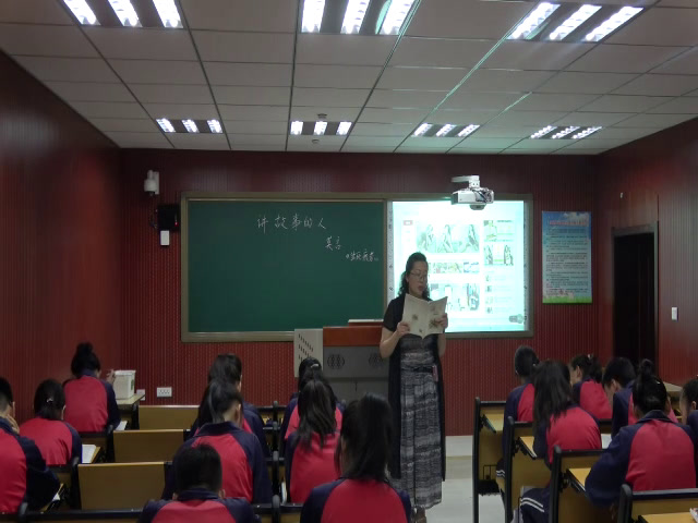 语文2011课标版九下《14.讲故事的人》辽宁田老师-市一等奖
