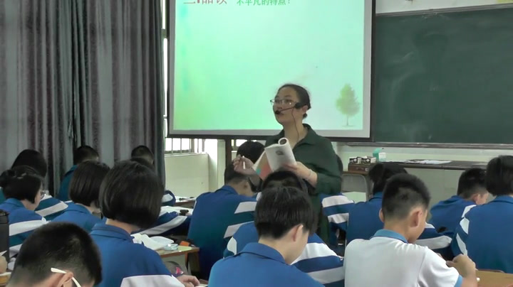 语文2011课标版九下《1.白杨礼赞》广东罗老师-县级优课