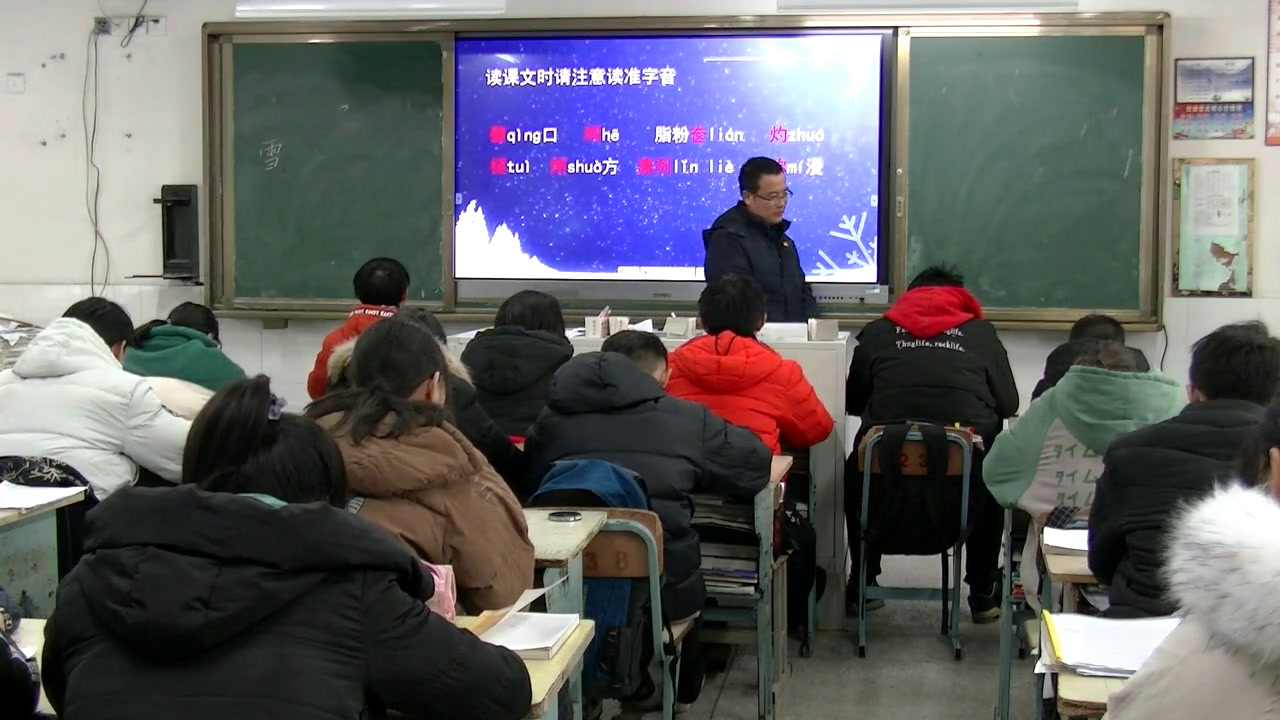 苏教版语文九下《《雪》四人谈》江苏袁老师-县级优课