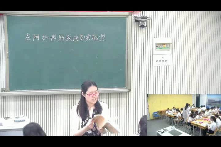 苏教版语文七上《二十在阿加西斯教授的实验室》江苏杨老师-县级优课