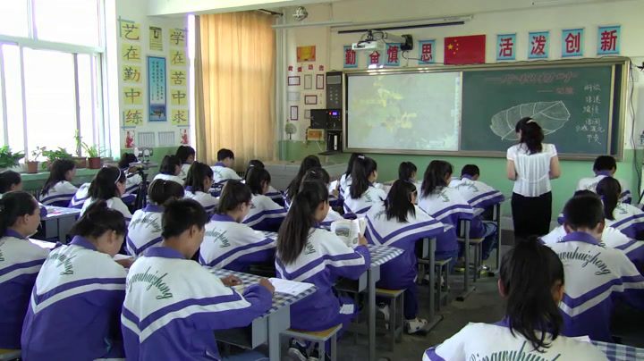 语文2011课标版八上《一片槐树叶》宁夏白老师-县级优课