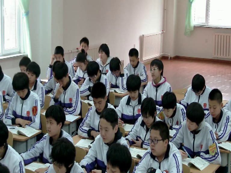 语文2011课标版七上《6台阶》辽宁郑老师-全国一等奖