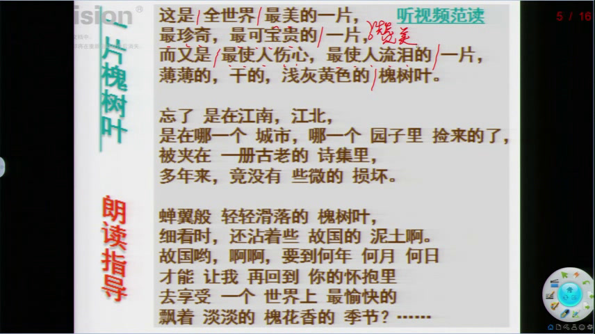 语文2011课标版八上《一片槐树叶》广西杨老师-市一等奖