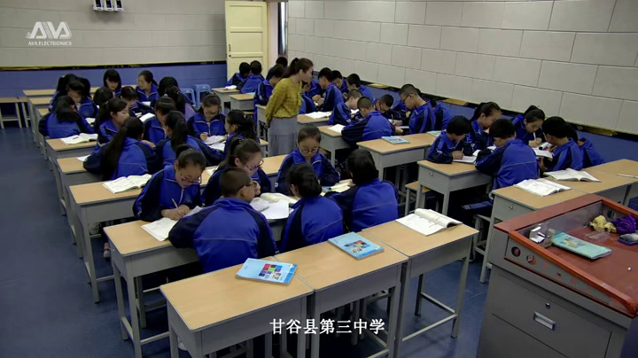 华东师大版数学七上《同类项》甘肃巩老师-市一等奖