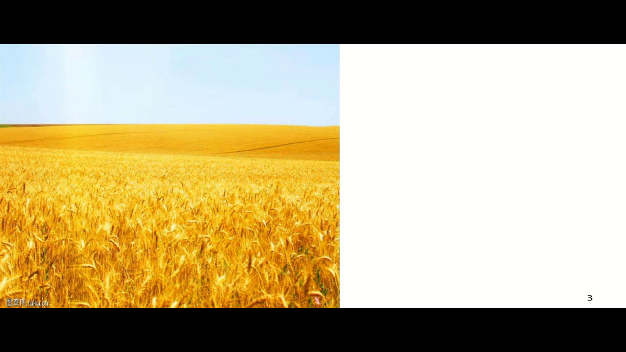 1.人教（PEP)英语（吴欣主编）五下《Unit 2 My favourite season - part A》山东省省级优课