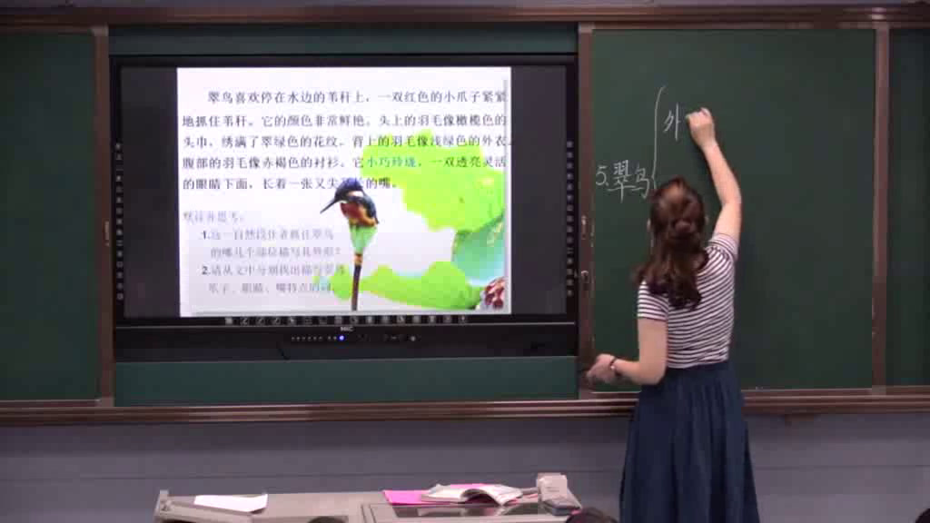 3.人教版语文三下《5　翠鸟》国家级优质课